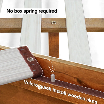 Antione Acacia Solid Wood Platform Bed